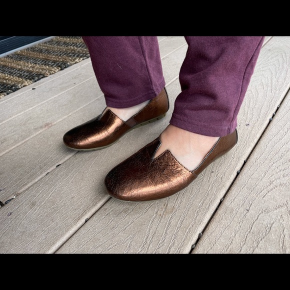 New Born Sebra Flat - Picture 3 of 3